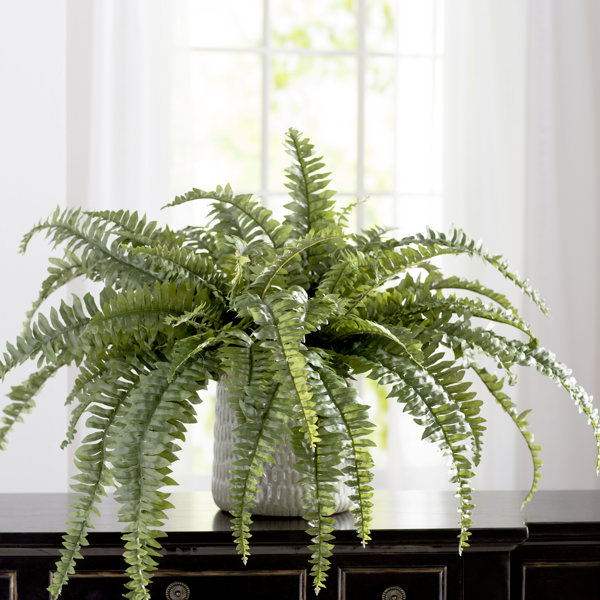 Charlton Home® Boston 48'' Faux Fern Plant & Reviews Wayfair Canada